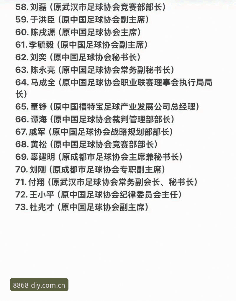 中国足协第三批禁足名单详解：17人终身禁赛48人受罚